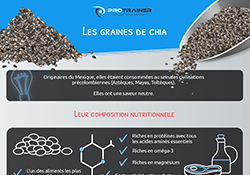 Infographie Graines de chia